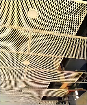 Hotel Lobby Ceiling with Metal Mesh Curtain